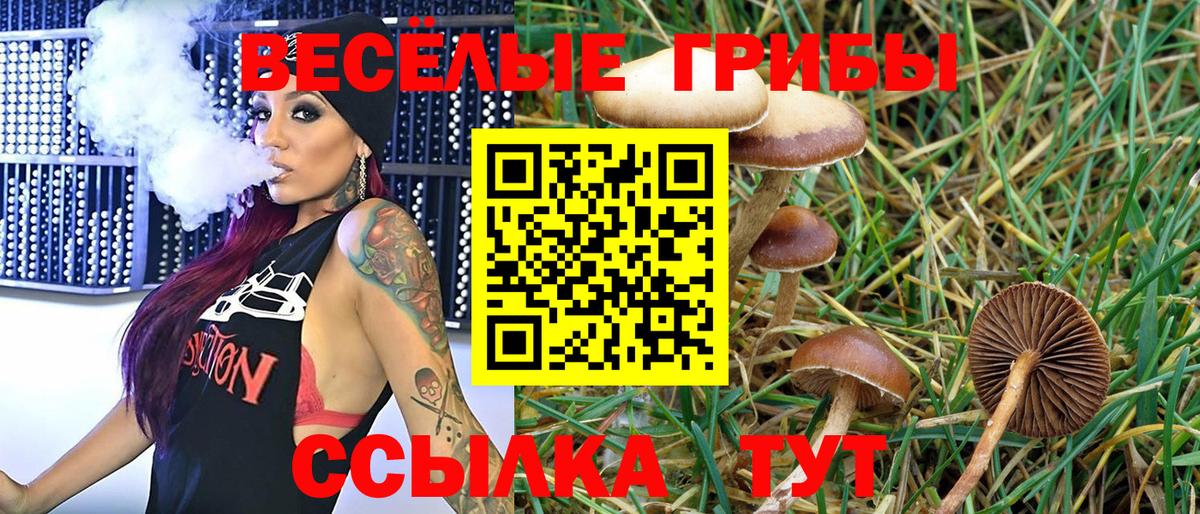 Псилоцибиновые грибы ЛСД Москва